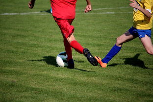 开云平台-LPL多个队伍重组计划曝光转会期极度混乱，lpl战队转会期